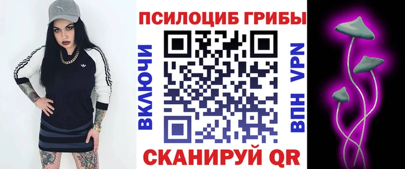 Галлюциногенные грибы мухоморы  хочу наркоту  Рассказово 